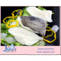 IQF Frozen John Dory fish Frozen PBO PBI